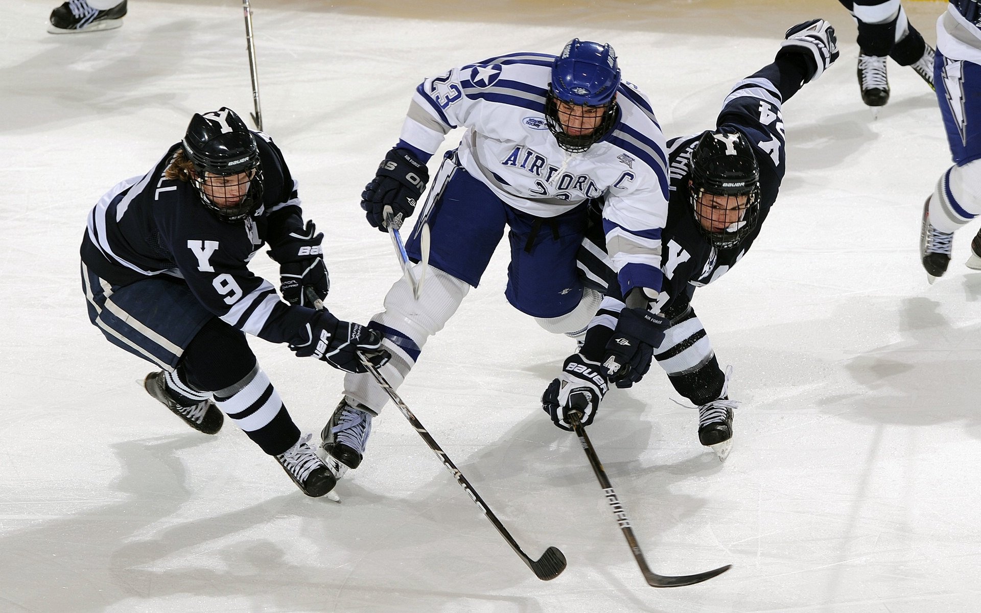 巅峰对决！扣篮大赛惊艳全场，新星力压群雄夺魁