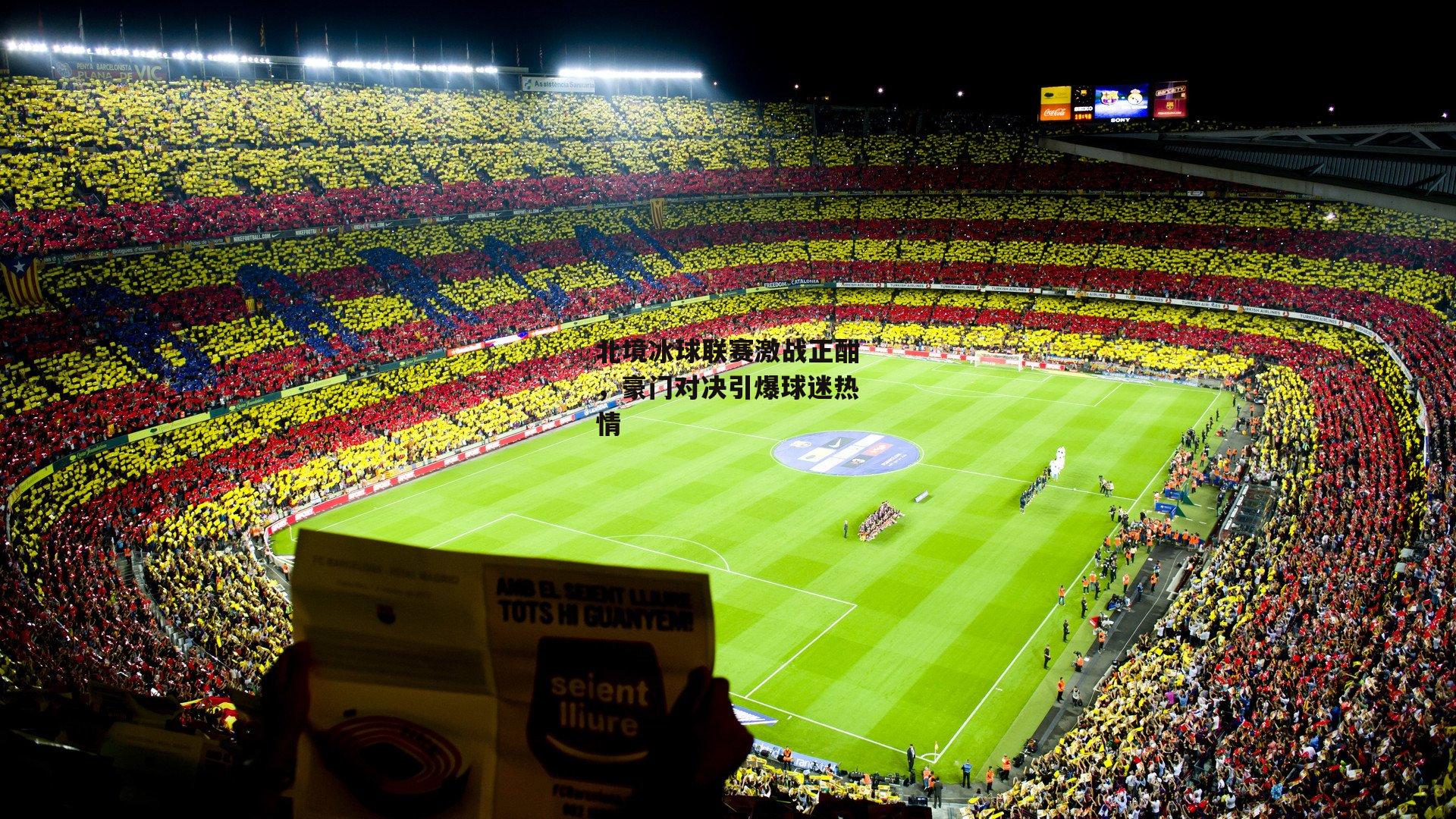北境冰球联赛激战正酣，豪门对决引爆球迷热情